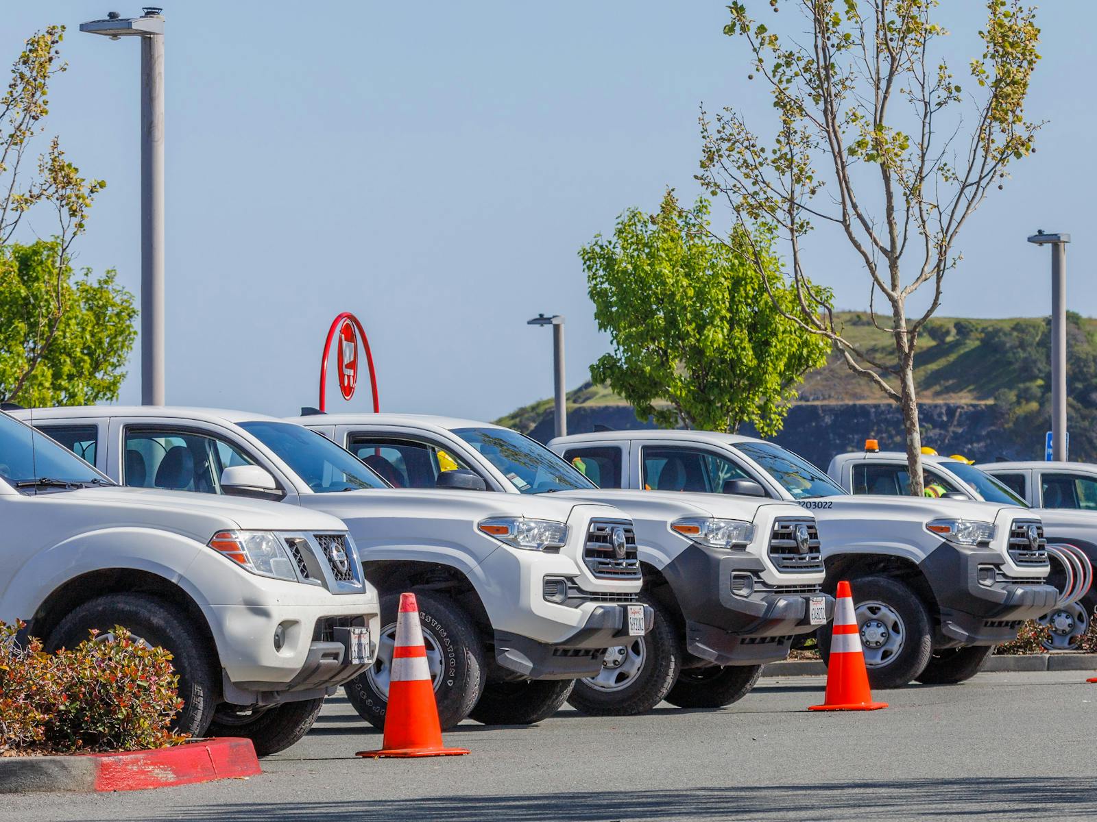 Managed fleet vehicles lined up and ready for service